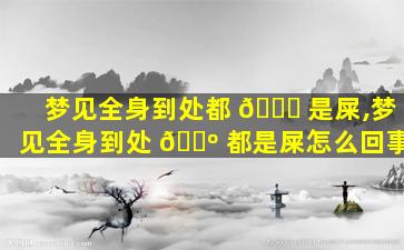 梦见全身到处都 🐞 是屎,梦见全身到处 🌺 都是屎怎么回事